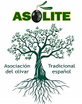 Asoc. ASOLITE