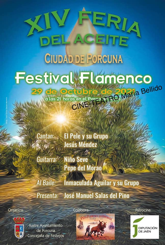 Festival flamenco benéfico