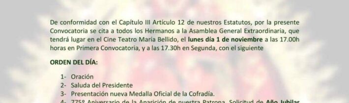 Asamblea general Ex. Virgen Alharilla