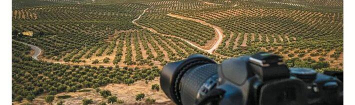 Exposición fotográfica Porcuna en Rosa