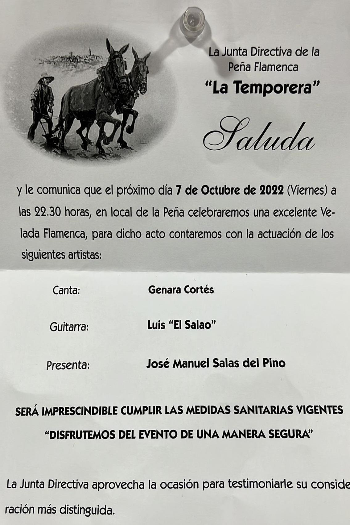 Recital Flamenco  (socios)