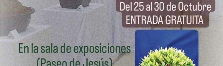 Exposición de bonsáis