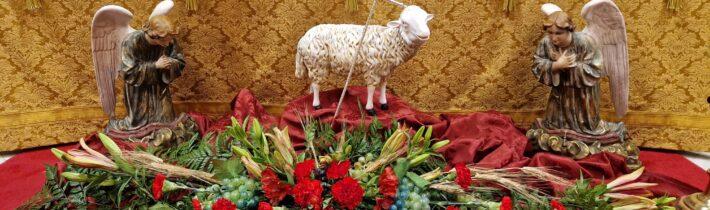 AGNUS DEI- Triduo en honor a Jesús Sacramentado