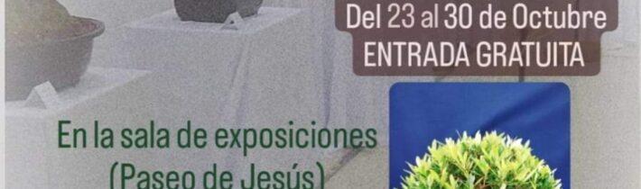 Exposición de Bonsáis