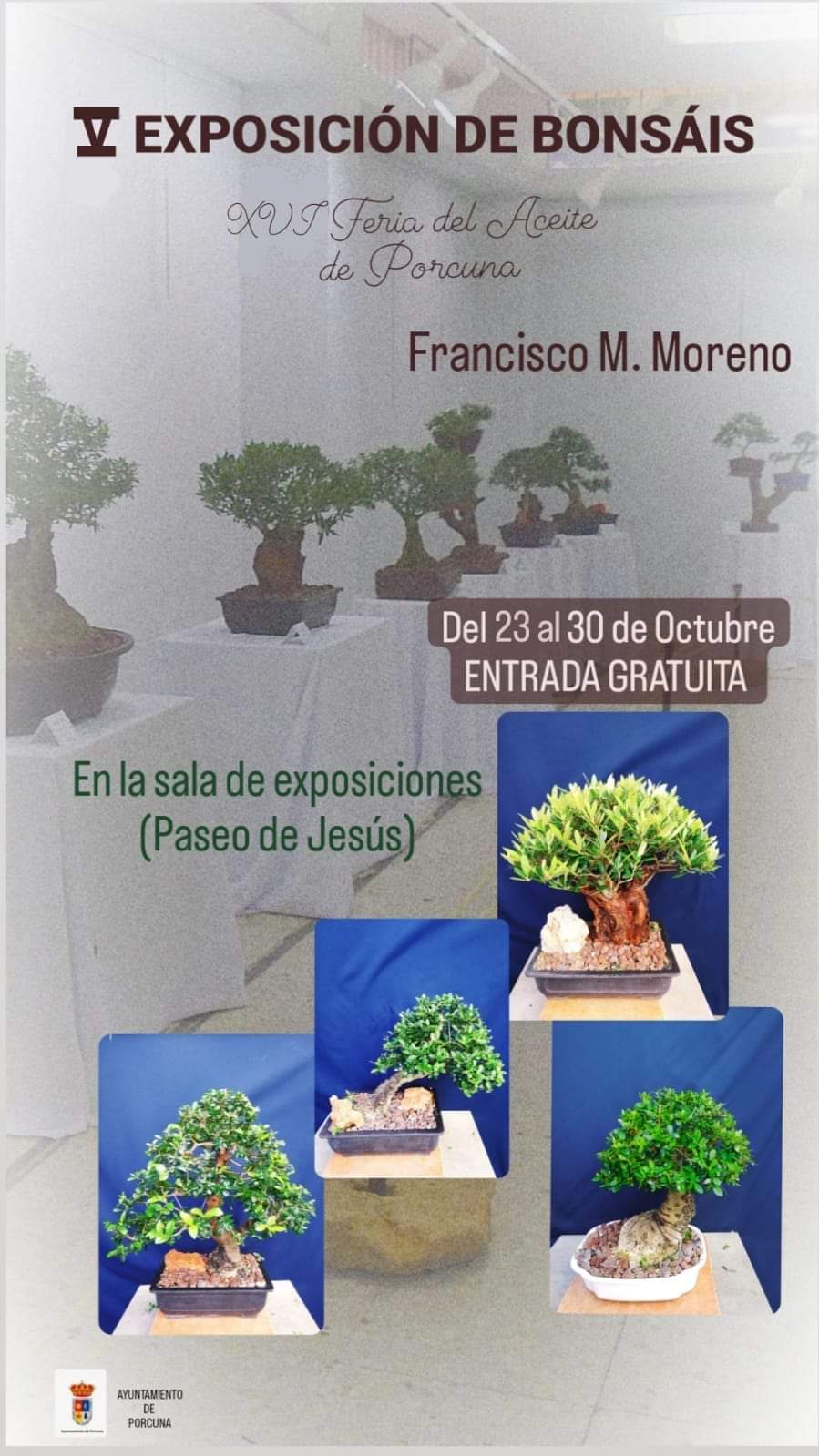 Exposición de Bonsáis