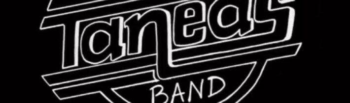 Taneas banda en concierto