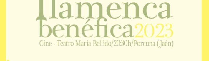 V Zambomba flamenca benéfica