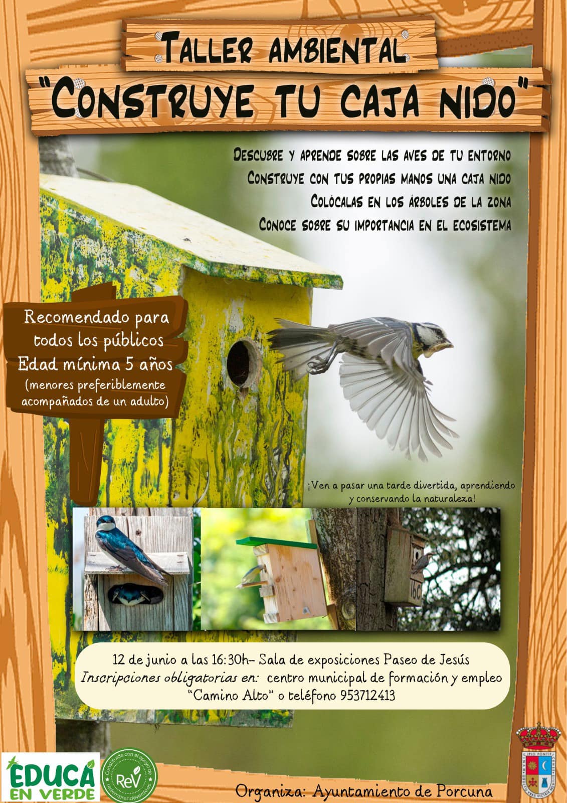 Taller - Construye tu caja nido