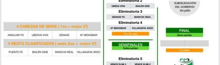 Final Copa Subdelegado de Fútbol Sala
