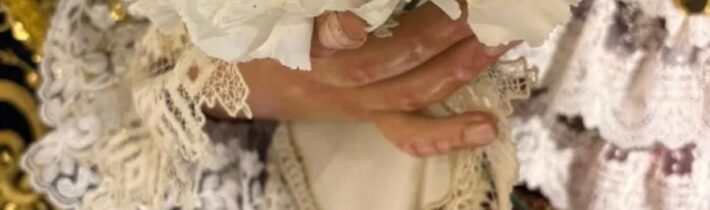 Ofreda de claveles a la Virgen de los Dolores